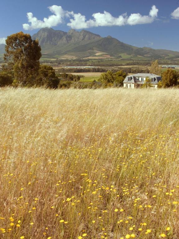 Belair Country House Acomodação com café da manhã Paarl Exterior foto
