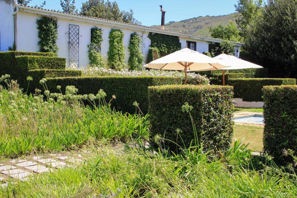 Belair Country House Acomodação com café da manhã Paarl Exterior foto